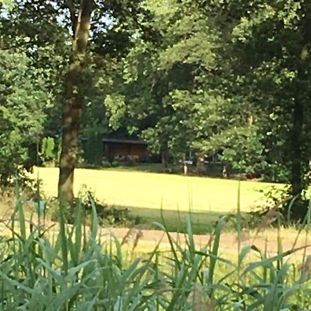 Holiday Home In Reutum Weerselo With Jacuzzi Beekdorp Exterior foto